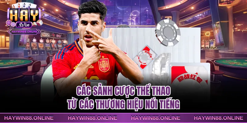 Các sảnh cược thể thao từ các thương hiệu nổi tiếng