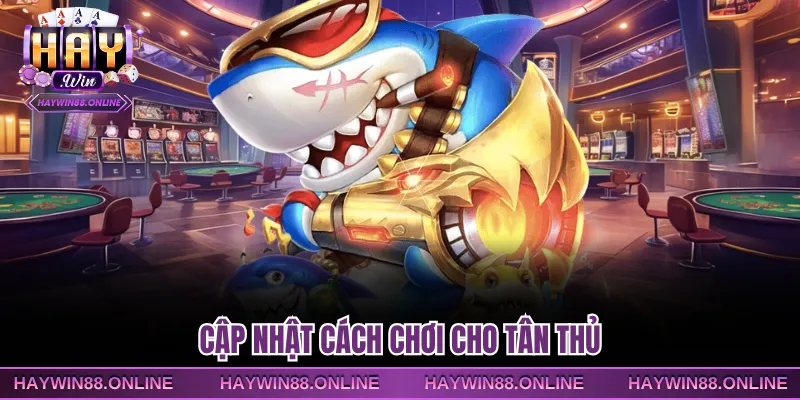 Cập nhật cách chơi cho tân thủ