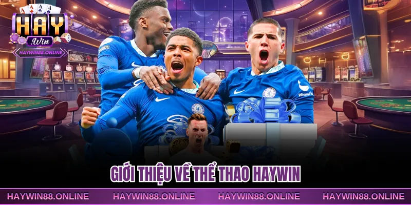 Giới thiệu về thể thao Haywin