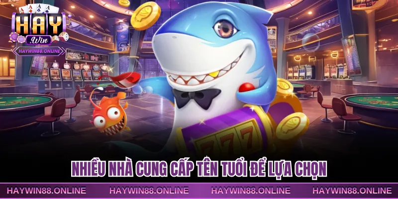 Nhiều nhà cung cấp tên tuổi để lựa chọn