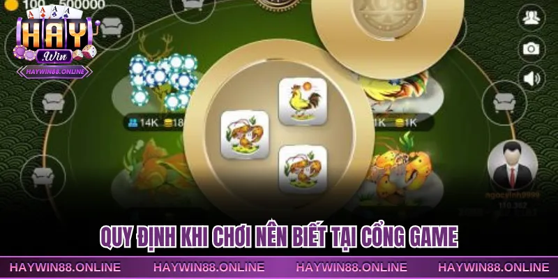 Quy định khi chơi nên biết tại cổng game